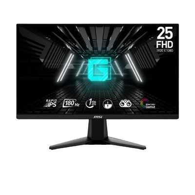 MSI MONITOR G255F