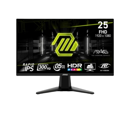 MSI MONITOR MAG 255XF