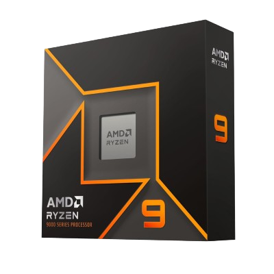 AMD Ryzen 9 9900X