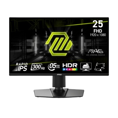 MSI MONITOR MAG 255PXF