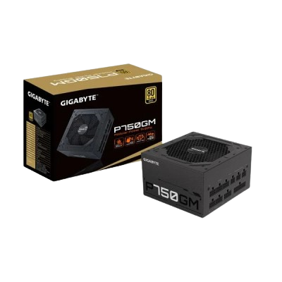 Gigabyte P750GM 80 PLUS GOLD Fully Modular