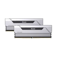 BIWIN HX100 32GB DDR5 6000 MHz HEATSINK DESKTOP RAM 16*2 (SILVER) CL30