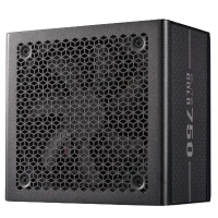 COOLER MASTER ELITE GOLD 750 80 PLUS GOLD FULLY MODULAR SMPS ATX 3.1 (BLACK)