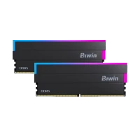 BIWIN DW100 32GB DDR5 6000 MHz RGB DESKTOP RAM 16*2 (BLACK) CL30