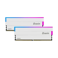 BIWIN DW100 32GB DDR5 6000 MHz RGB DESKTOP RAM 16*2 (White) CL30
