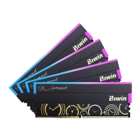 BIWIN DW100 192GB DDR5 6000 MHz RGB DESKTOP RAM 48*4 (GOLD) CL28