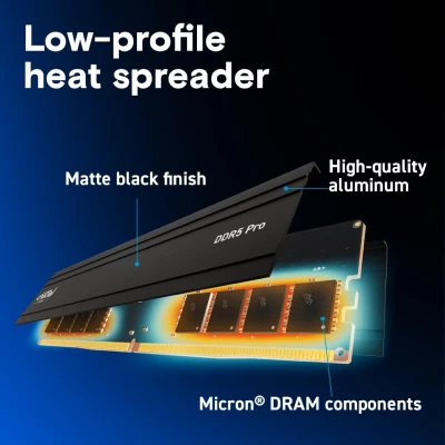 Crucial Pro 48GB (2x24GB) DDR5-5600MHz DESKTOP RAM 5
